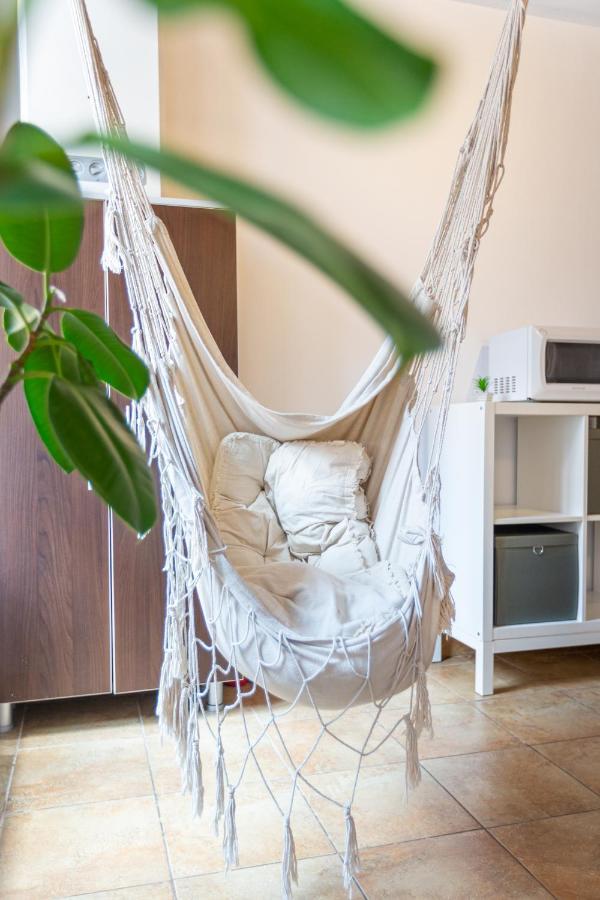 Dream Guesthouse Braşov Eksteriør bilde