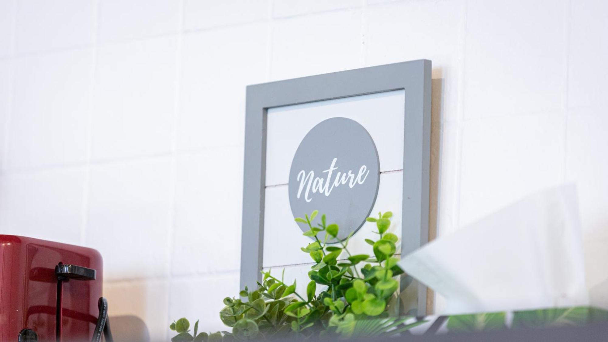 Dream Guesthouse Braşov Eksteriør bilde