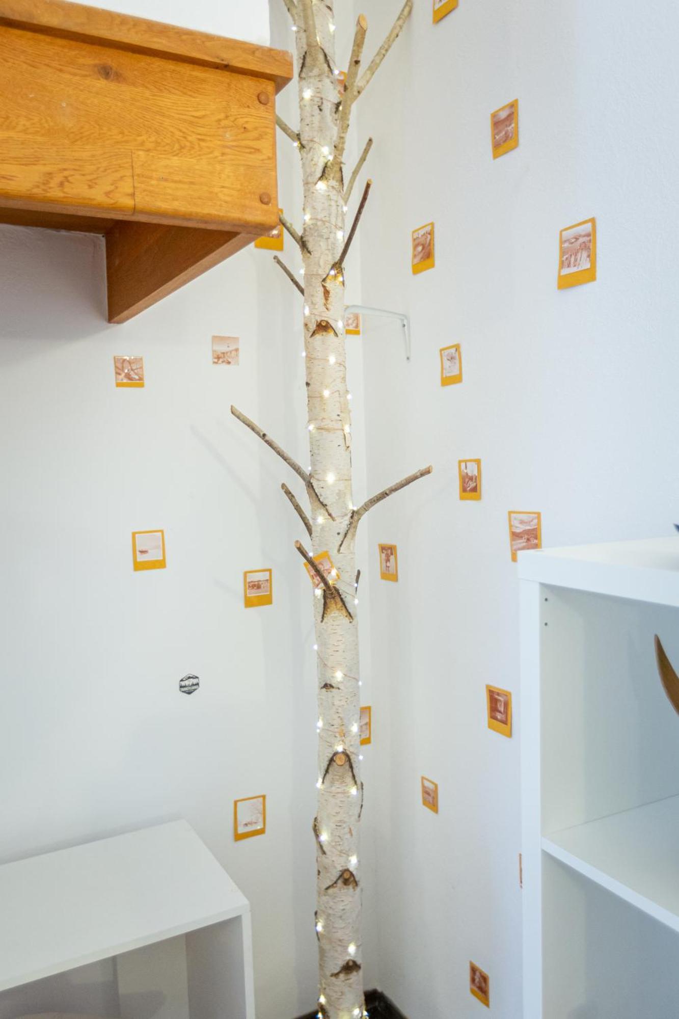 Dream Guesthouse Braşov Eksteriør bilde